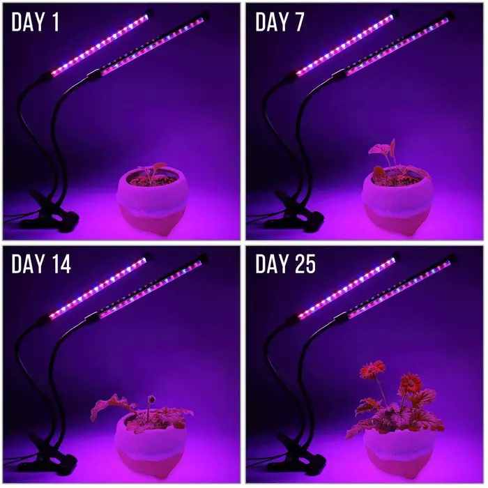 USB LED plante poussent la lumière jardin intérieur 10 niveaux réglables