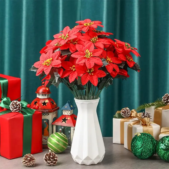 Bouquet de Fleurs Rouges pour Patients de Noël