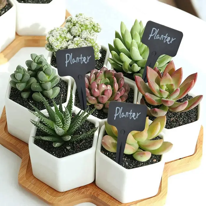 Étiquettes de plantes noires A36T-303Pcs/Set