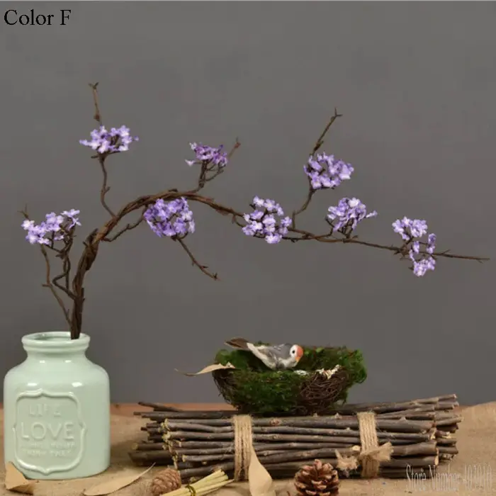 Fleurs de cerisier branche d'arbre