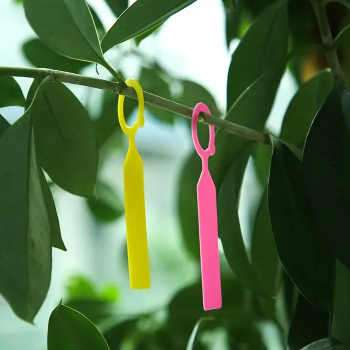 100 étiquettes de plantes réutilisables et imperméables - Marqueurs de jardin en plastique pour fleurs