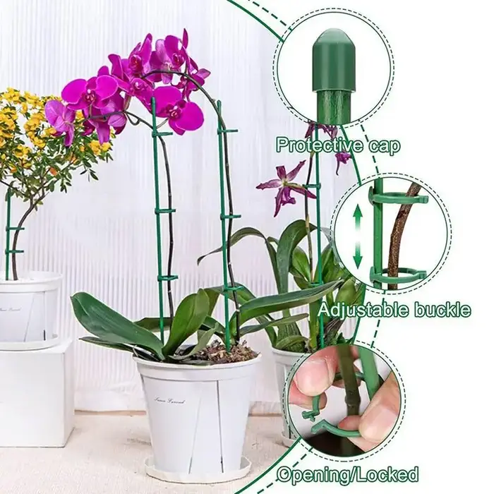 Piquets de Support pour plantes