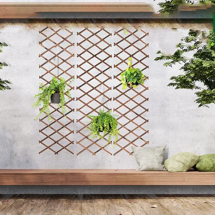 Treillis d'Escalade Extensible pour Plantes Grimpantes