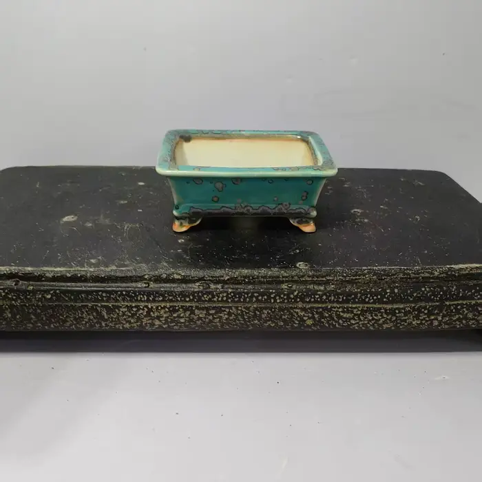 Mini bonsaï émaillé de haute qualité avec forme rectangulaire