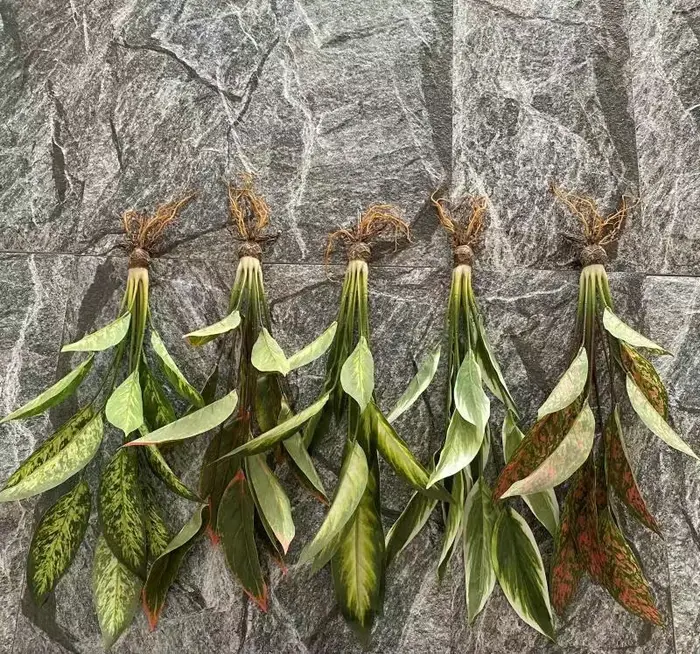 Plantes vertes artificielles