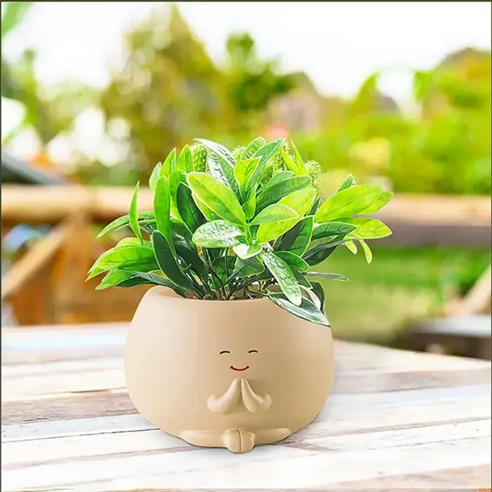 Pot de jardinière à tête suspendue pour plantes d'intérieur et d'extérieur