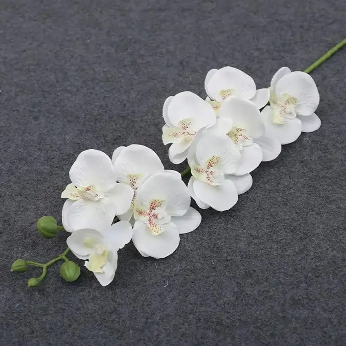 Orchidée Artificielle Phalaenopsis