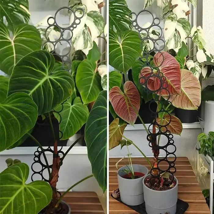 Support créatif en métal pour plantes en pot