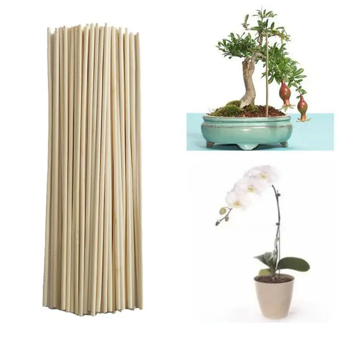 Kit de piquets en treillis de bâtons de bambou, 50 pièces, pour plantes de jardin, Support de tomate