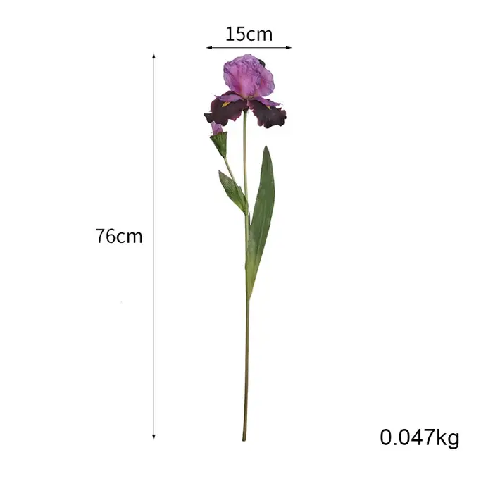 Fleurs injirlandaises Alice Iris