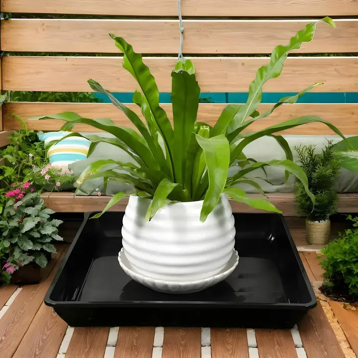 Soucoupe à plantes carrée 35cm