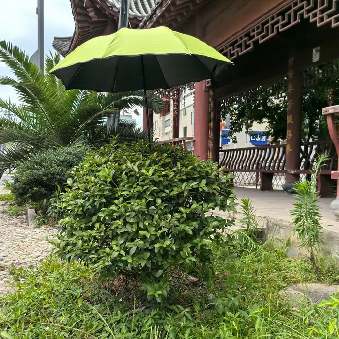 Parasol pour plantes de 95 cm