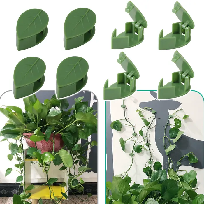 Fixation Auto-Adhésive Invisible pour Plantes Grimpantes, Support de Traction à réinitialisation, Ro