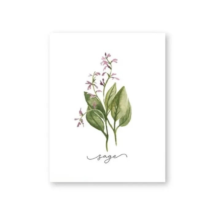 Affiches murales sur toile de Collection d'herbes
