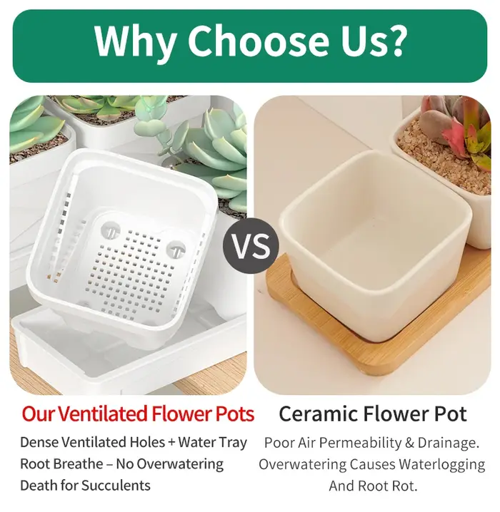 Pot à succulentes minimaliste nordique avec plateau