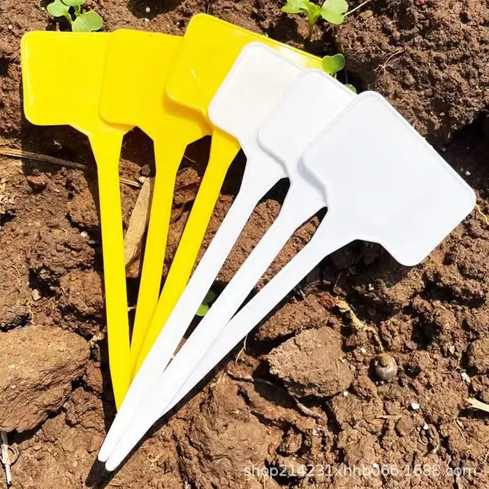 Étiquettes de plantes 30 pièces, signalisation horticole, panneaux d'enregistrement de noms de fleurs et de plantes vertes, signalisation en plastique étanche