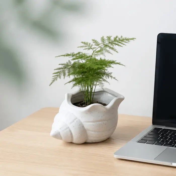 Pot de fleurs amusant en forme de coquillage imprimé en 3D