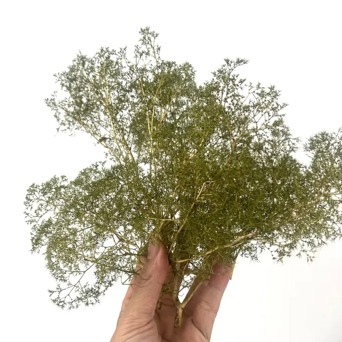Diorama – arbres et buissons en mousse de mer