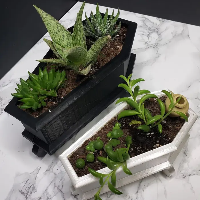 Mini planteur de cercueil