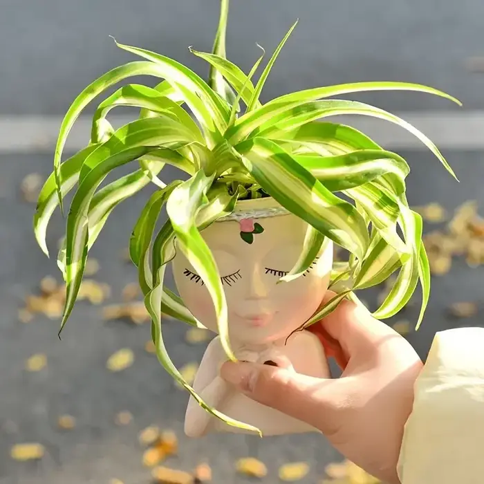 Pot de fleurs en résine en forme de tête de femme pour plantes succulentes, idéal pour les plantes vertes Chlorophytum, décoration de bureau, balcon et table.