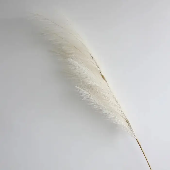 Grande pampa pelucheuse pour la décoration de la maison et de la chambre, fleurs artificielles, rose