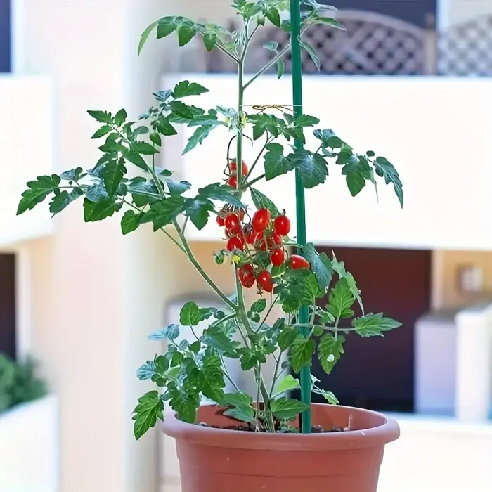 10 piquets de support robustes pour plantes