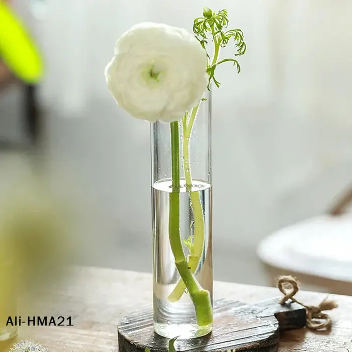 【H】Vase en verre pour plantes hydroponiques