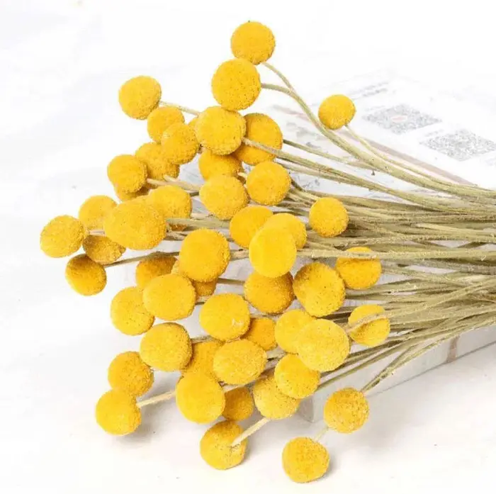 Bouquet de boules de boutons de Billy jaunes