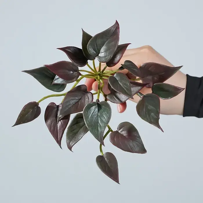 Simulation de plante de trèfle