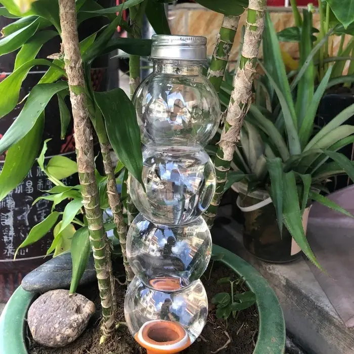 Insert d'irrigation goutte à goutte pour pot auto-arrosant
