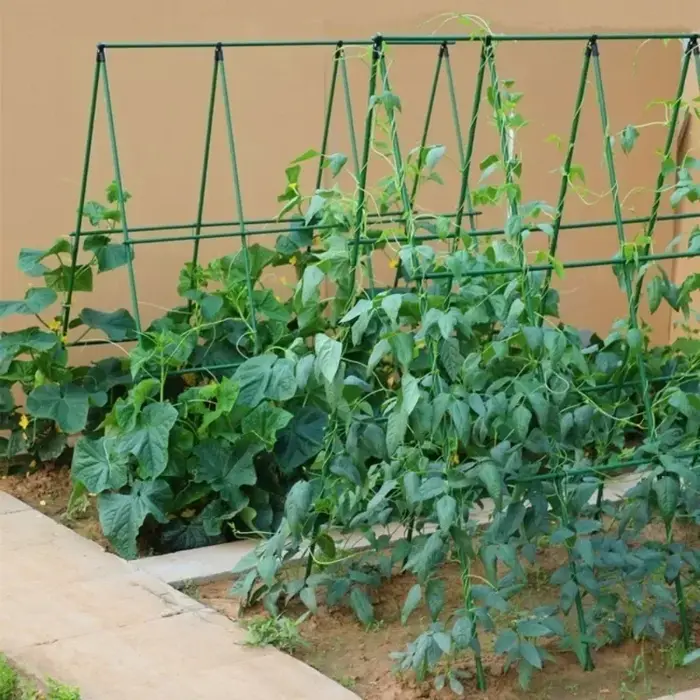 Nouveau 2026 Treillis de support robuste pour plantes grimpantes