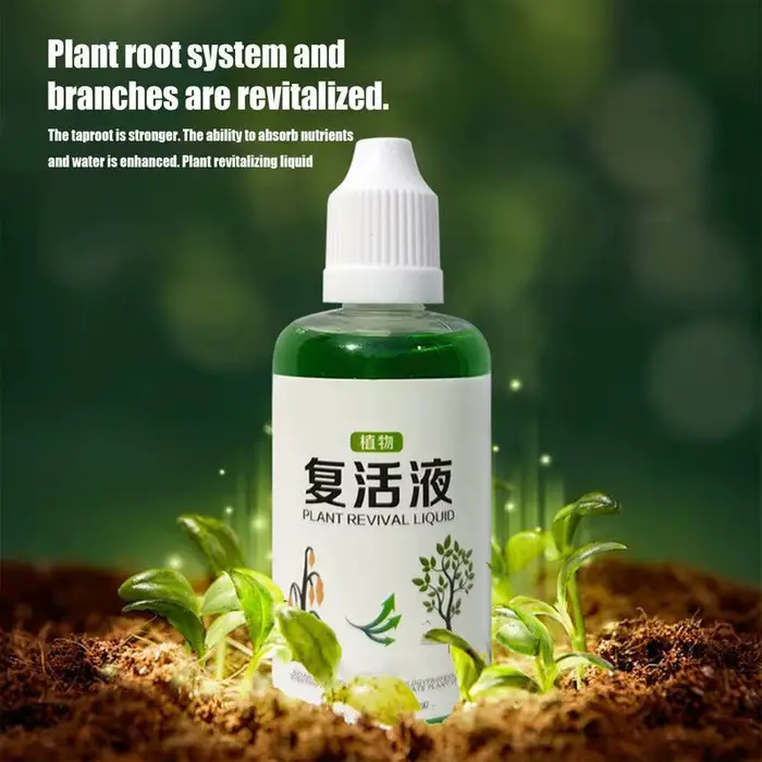Agent d'enracinement succulent 50ml