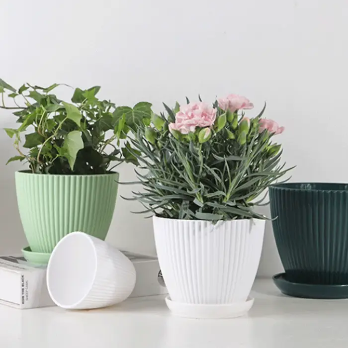 Pot de fleur en plastique Pot de plante succulente avec plateau aneth vert rond Double couche petit Pot