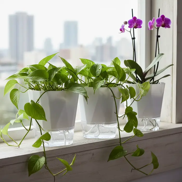 Jardinière auto-arrosante en résine de 26