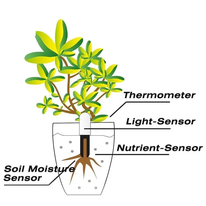 HHCC Flora Monitor Version mondiale fonctionne avec l'application Xiaomi Mijia plantes herbe soins des fleurs testeur d'eau du sol capteur détecteur moniteur