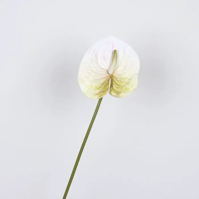 Plantes en pot de lys de paix d'anthurium artificiel de 22.4 pouces