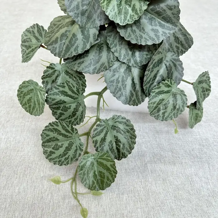 Plantes vertes simulées d'aloès vert