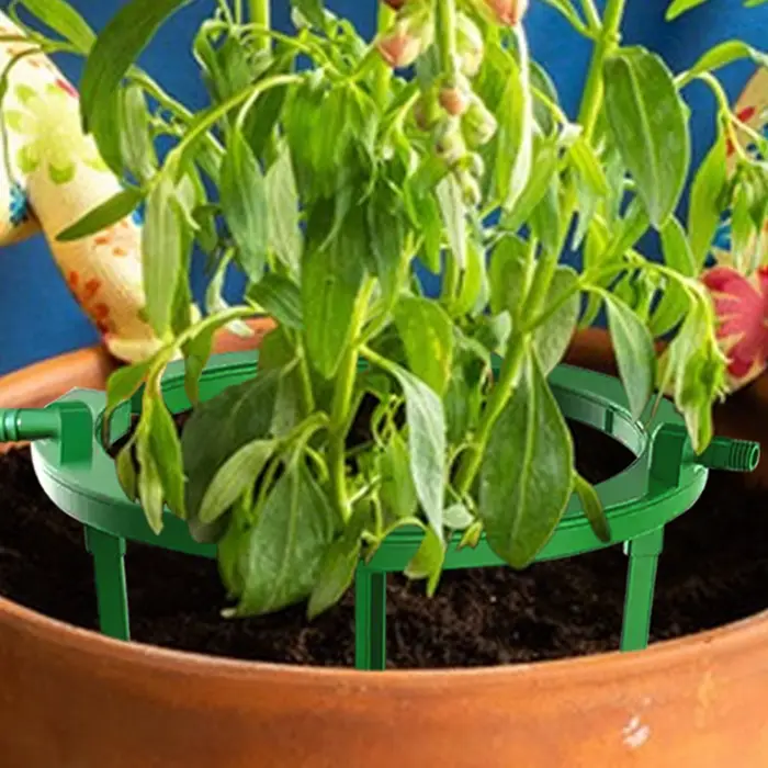 Anneaux d'eau pour plantes
