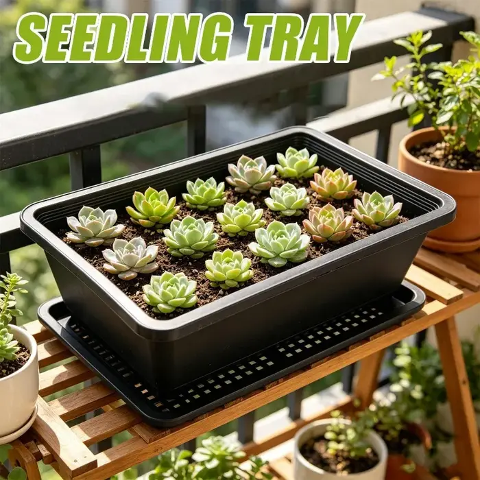5/1 Pièces Plateau de culture pour plantes