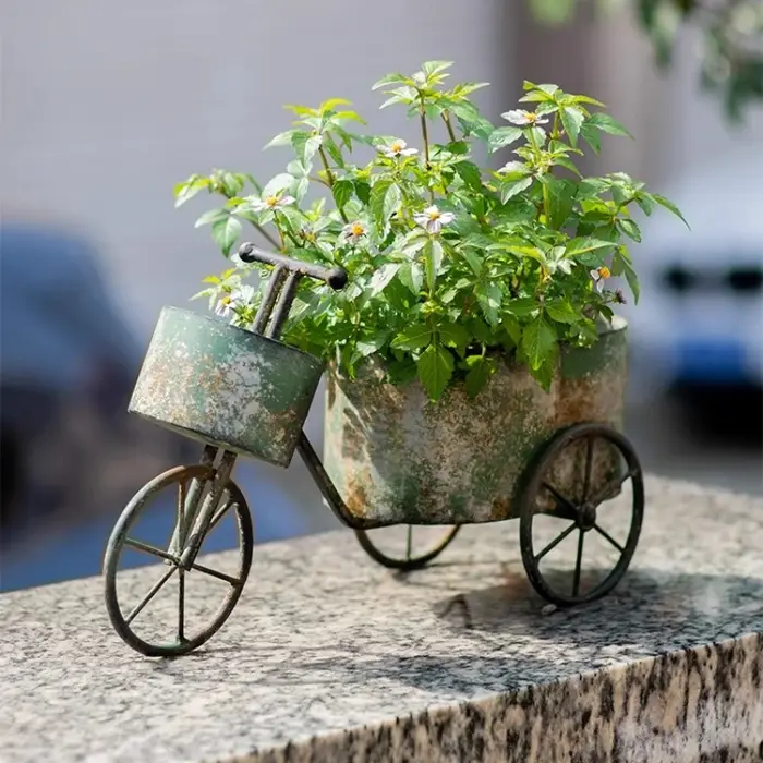 Jardinière de fleurs de vélo Vintage