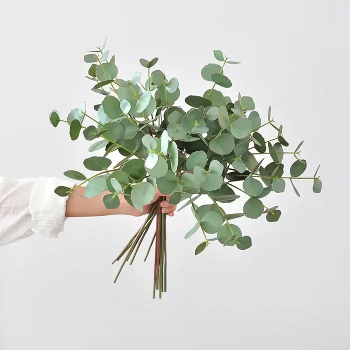 Feuilles d'eucalyptus artificielles pour la décoration de la maison