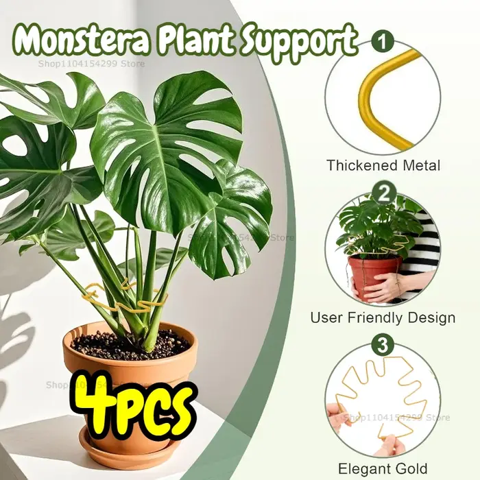 Support robuste pour grande plante Monstera