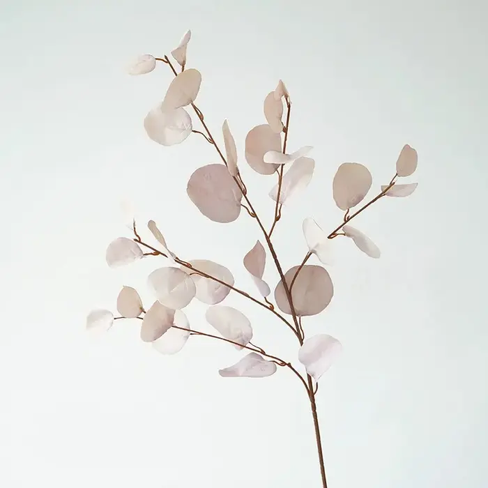 Simulation de feuille de pomme longue