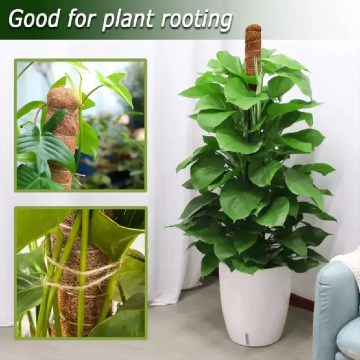 Support de grimpement pliable en mousse de coco de 30-100 cm pour plantes grimpantes d'intérieur