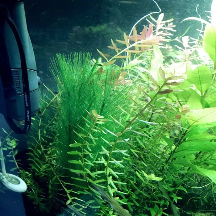 30cm Imitation eau herbe Aquarium aquatique plante artificielle fausse