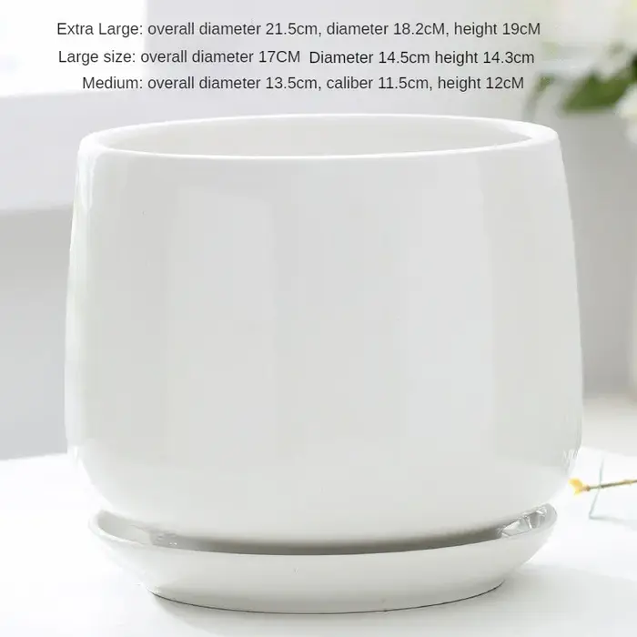 Pot de fleurs créatif en céramique