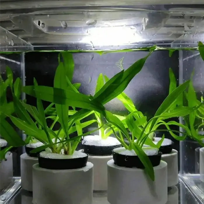 Bassin de Plantation de Base avec Anneau en Céramique pour Plantes d'Eau Précieuse