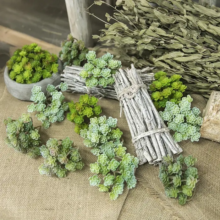Plante succulente artificielle simulée