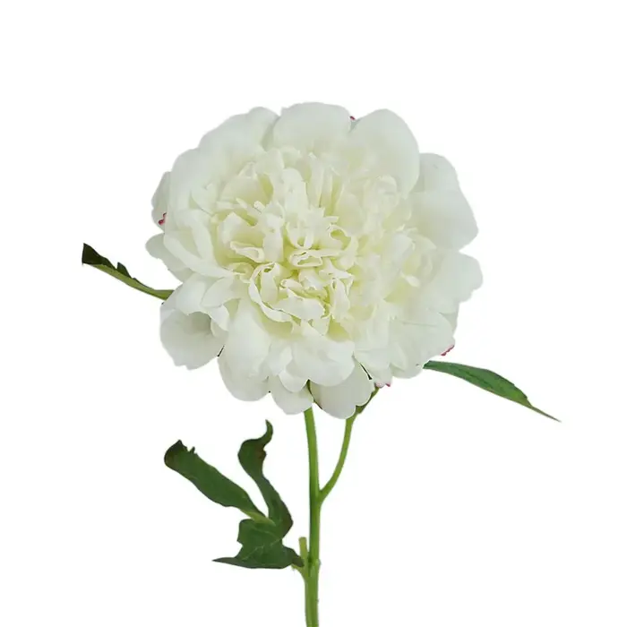 Fleurs de pivoines artificielles hydratantes au toucher réel