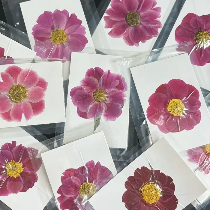 1 pièce, 8-10 cm